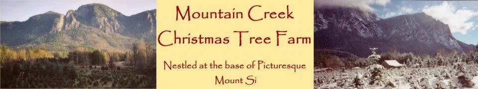 Mountain Creek Christmas Tree Farm
