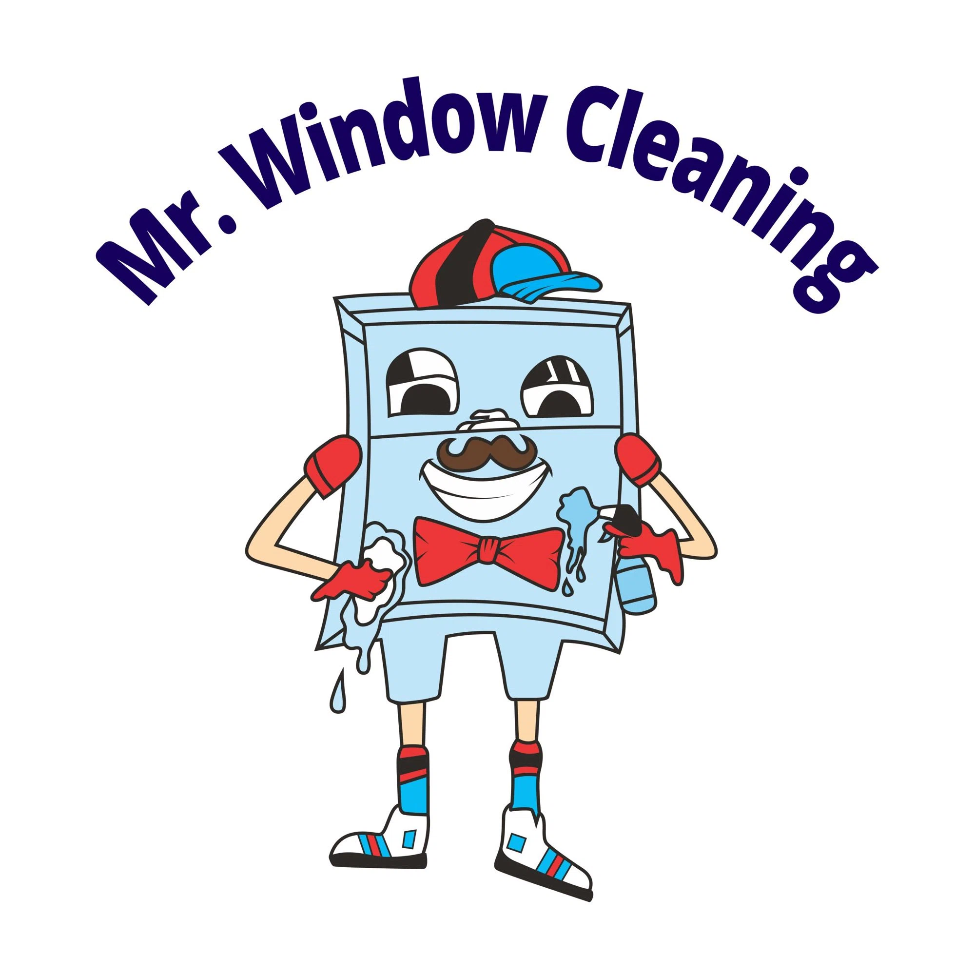 Mr Window Cleaning