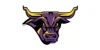 Minnesota State Athletics