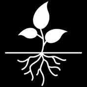 MT Wild Roots