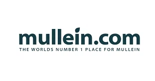 Mullein.com