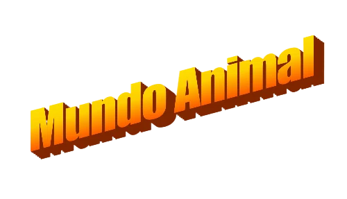 Mundo Animal
