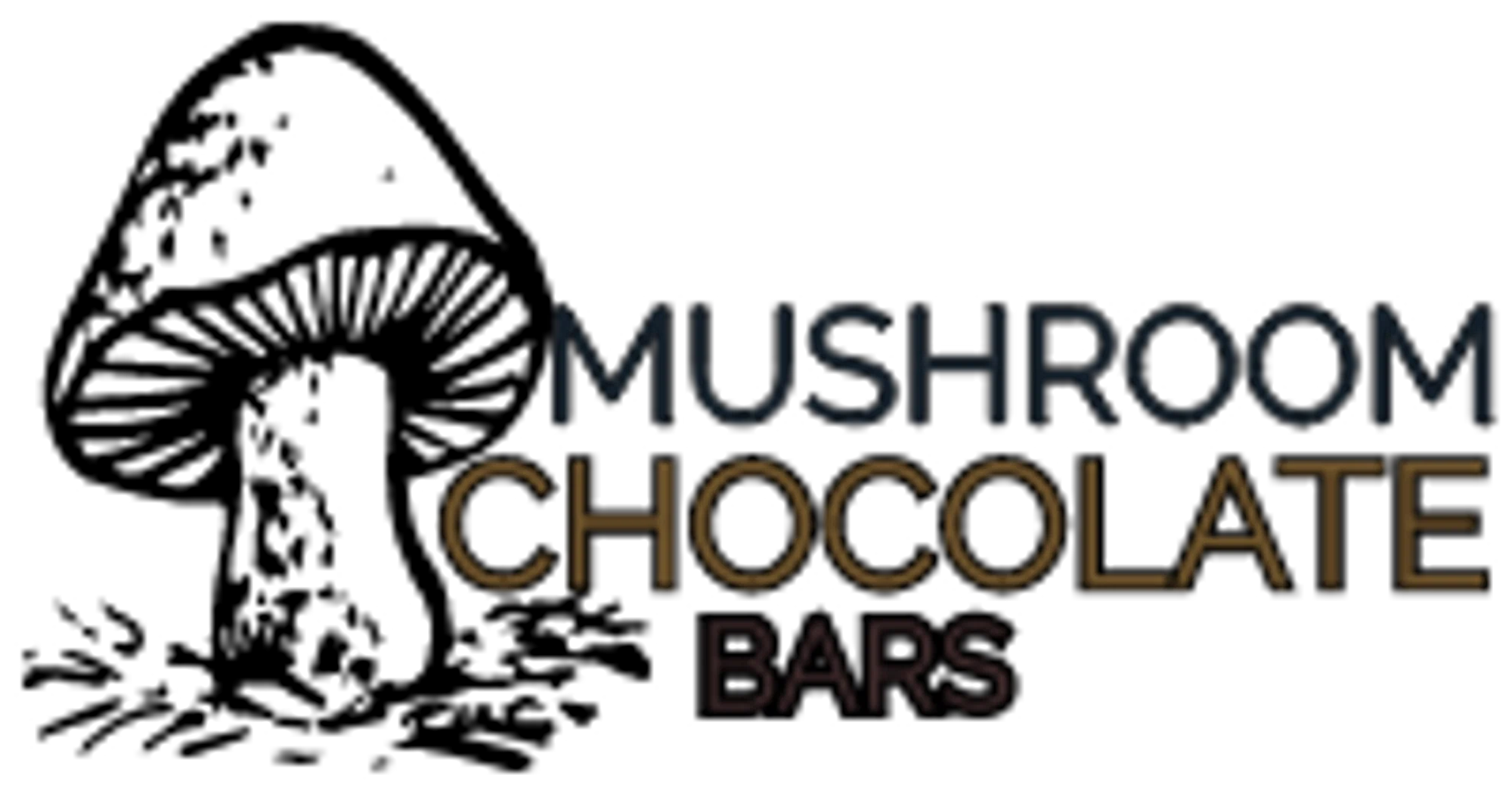 Mushroom Chocolate Bar Store
