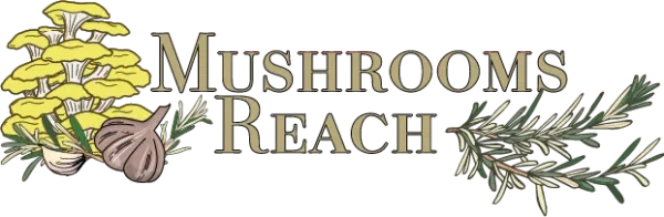 Mushrooms Reach