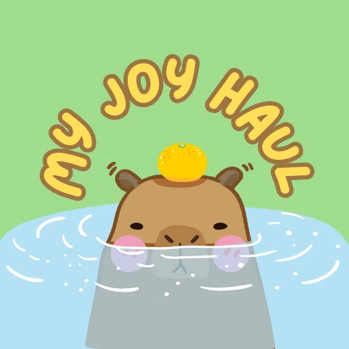 My Joy Haul