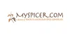 MySpicer