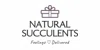 Natural Succulents