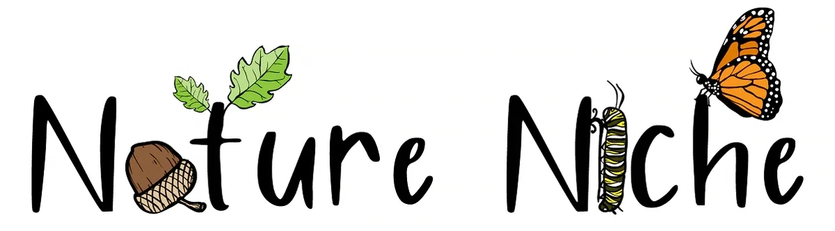 Nature Niche