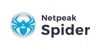 Netpeak Spider