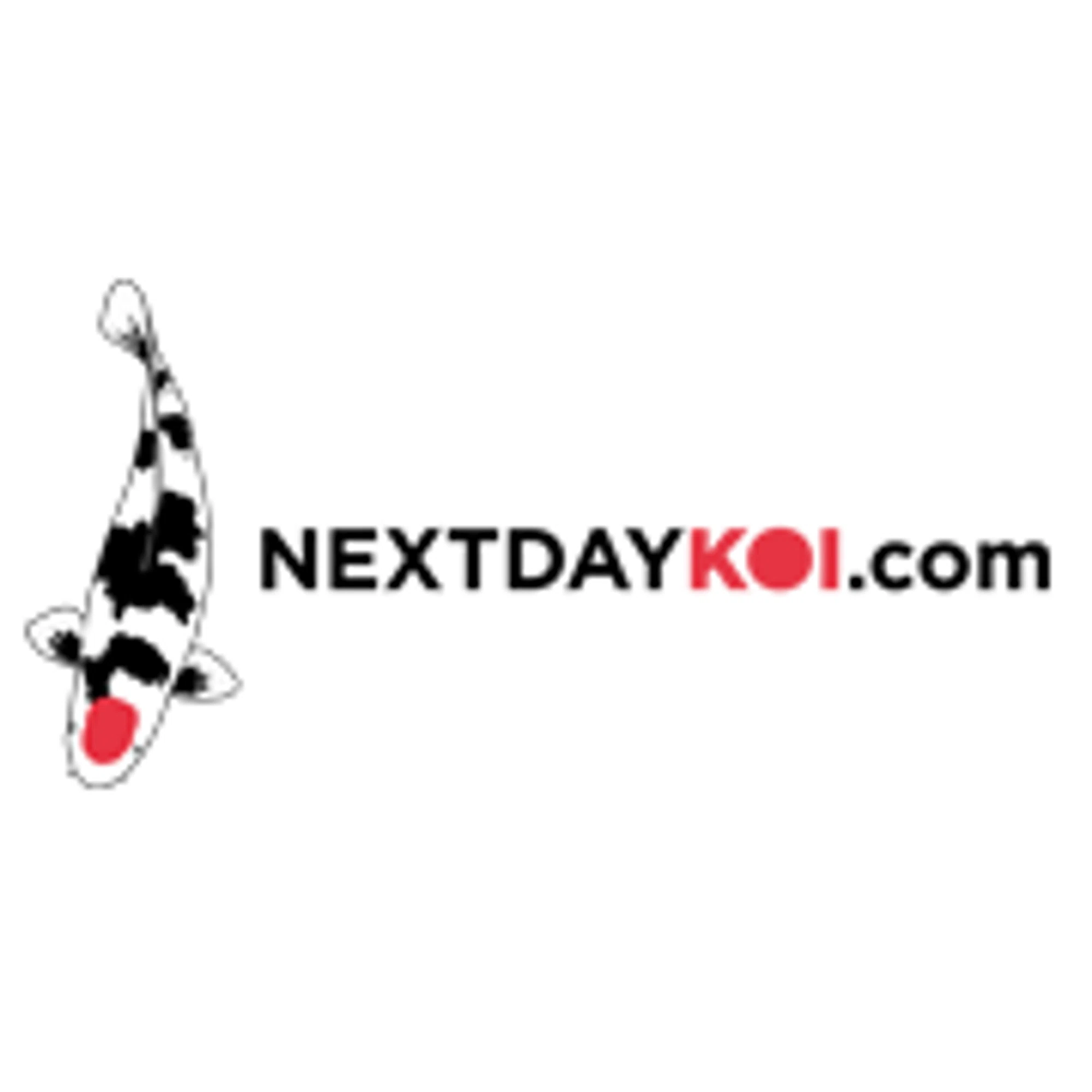 Next Day Koi