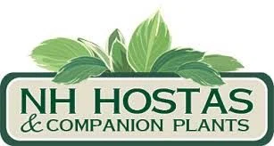 NH Hostas