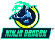 Ninja Dragon