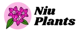 Niu Plants