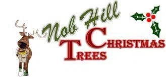 Nob Hill Christmas Trees