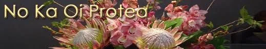 No Ka Oi Protea