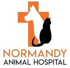 Normandy Animal Hospital