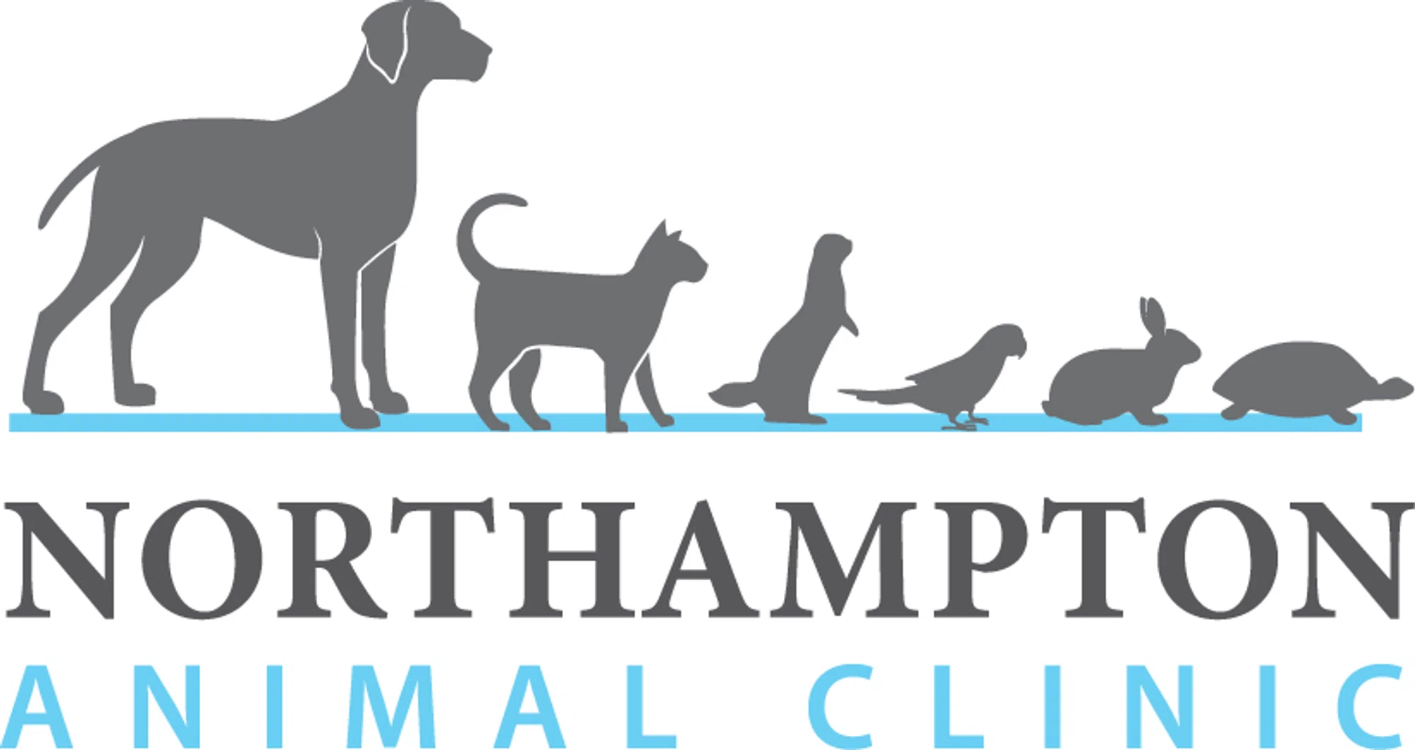 Northampton Animal Clinic