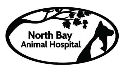 North Bay Animal Hospital