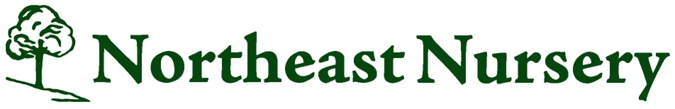 Northeast Nursery