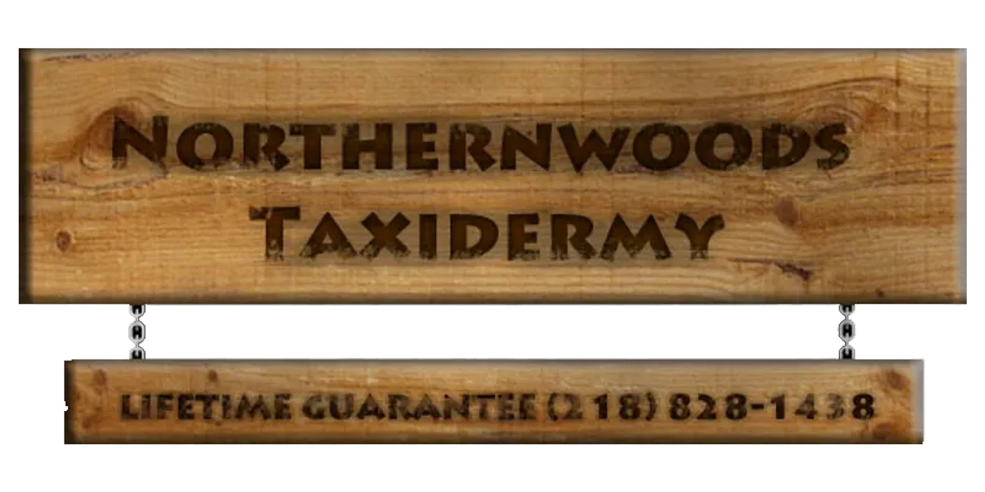 Northernwoods Taxidermy