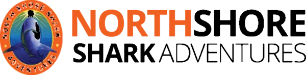 North Shore Shark Adventures