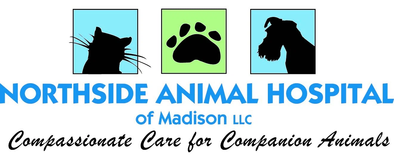 Northside Animal Hospital