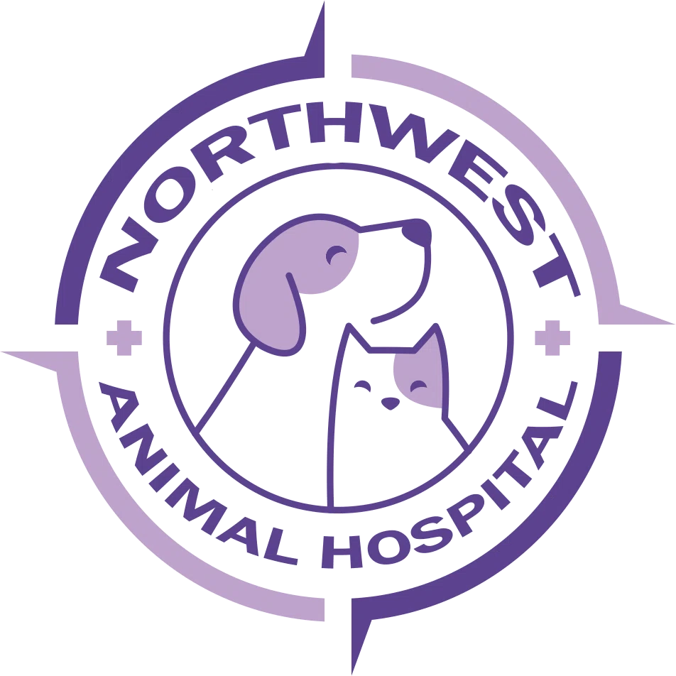 Northwest Animal Hospital