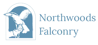 Northwoods Falconry
