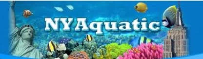 NYAquatic