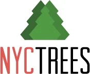 NYC Trees