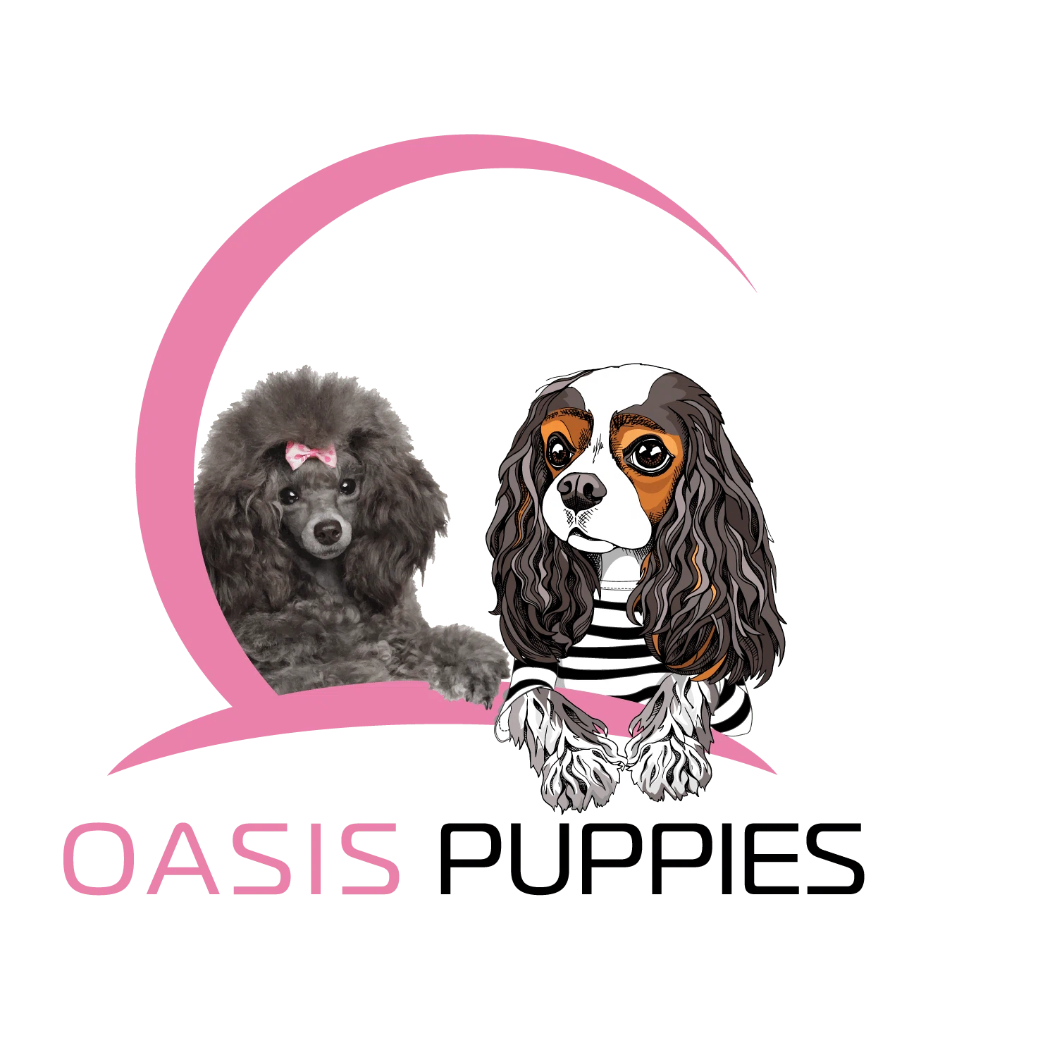 Oasis Puppies