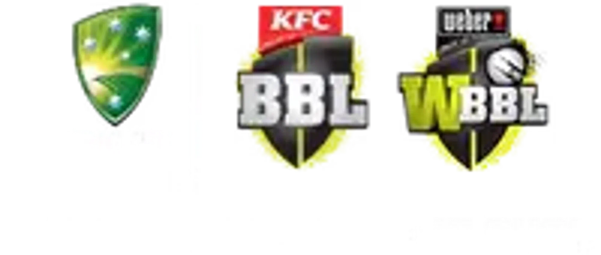 The Official Cricket Shop Logo for Discount Codes