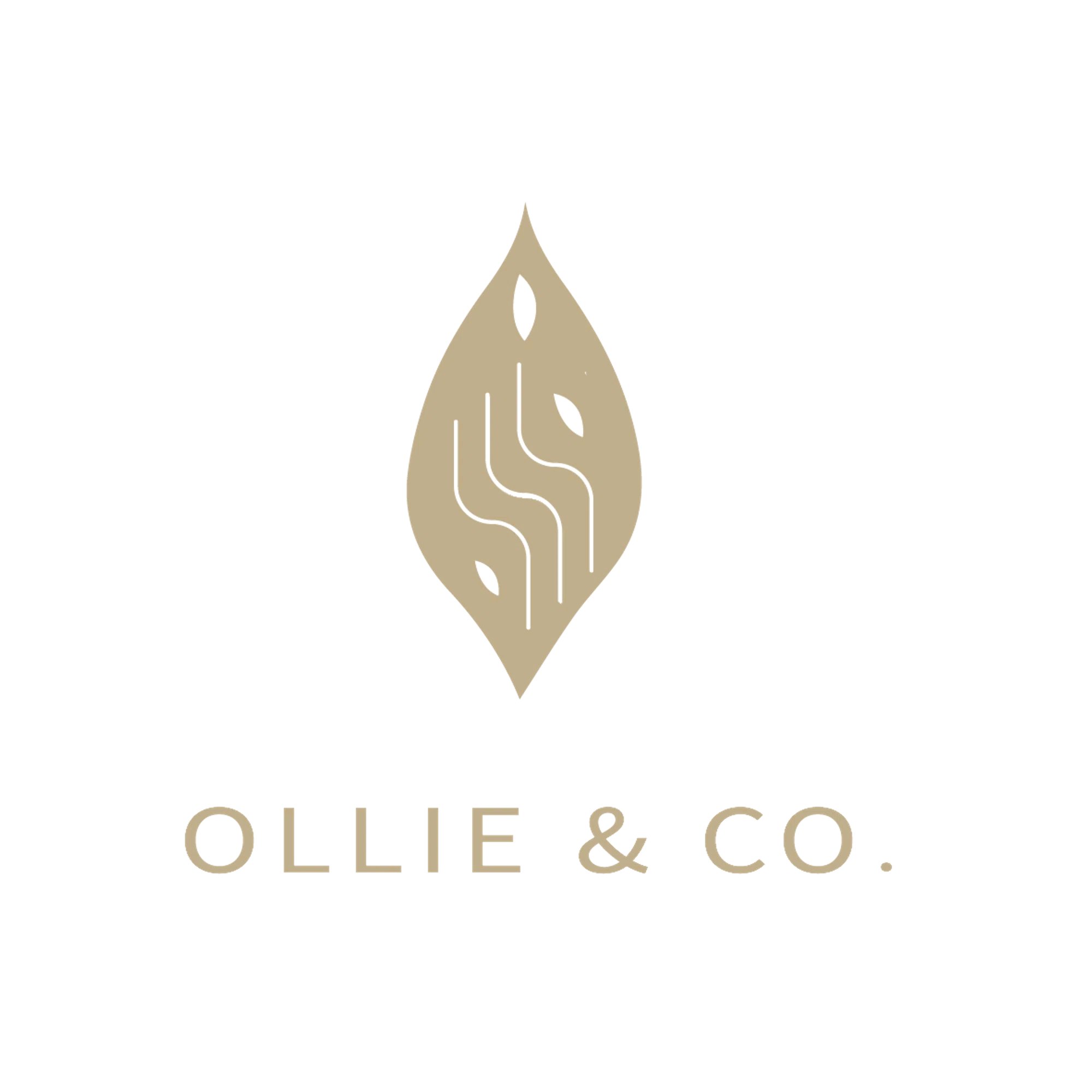 OLLIE & CO