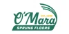 O'Mara Sprung Floors