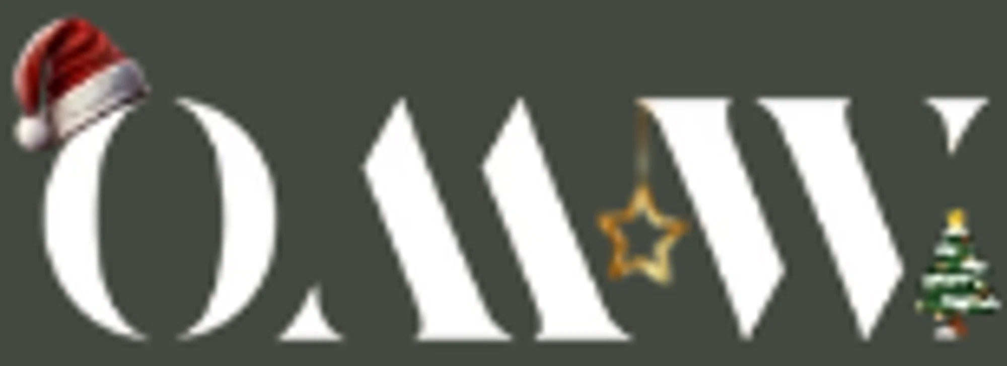 OMW Electric Skateboards