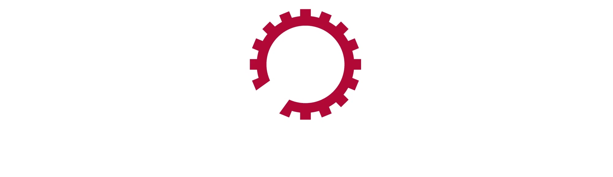 Orlando Import Auto Specialists