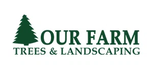 Our Farm Christmas Trees