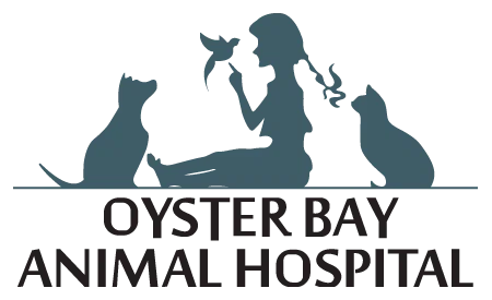 Oyster Bay Animal Clinic