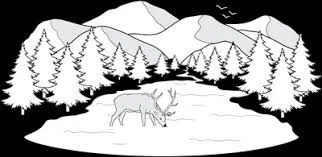 Ozark Mountain Foods