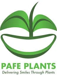Pafe Plants