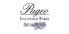 Pageo Lavender Farm