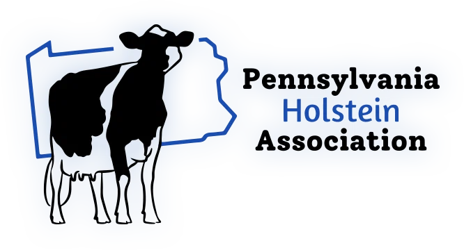 PA Holsteins