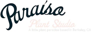 Paraíso Plant Studio