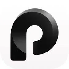 Paraspeech