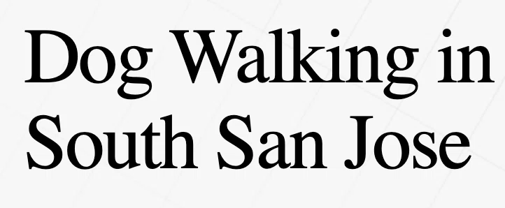 Parkview Dog Walking Service