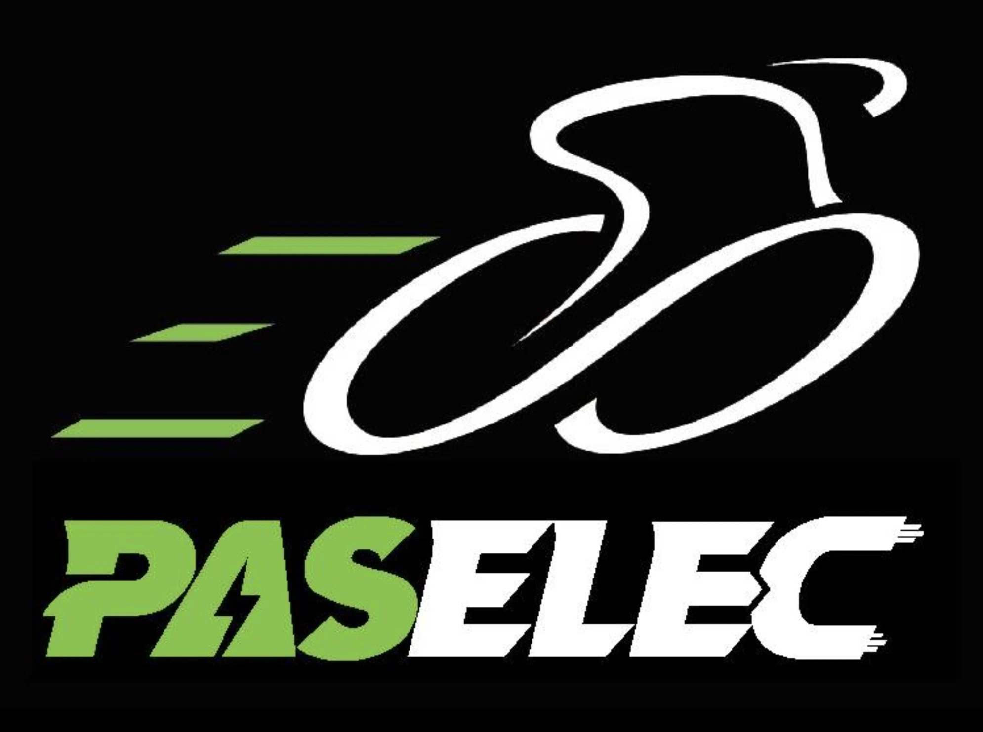 Paselec Ebike
