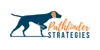 Pathfinder Strategies