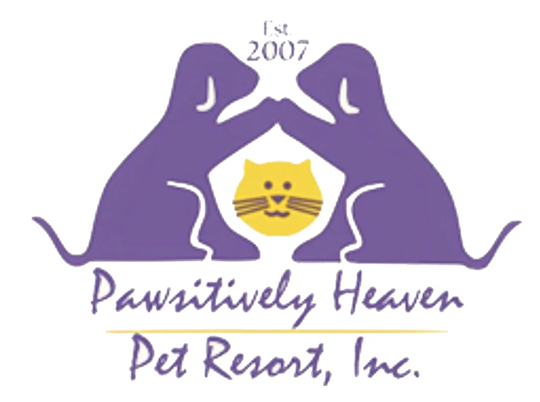 Pawsitively Heaven Pet Resort