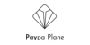 Paypa Plane
