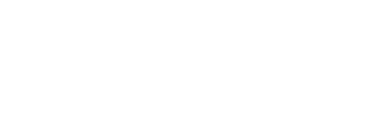 Peachtree Bikes